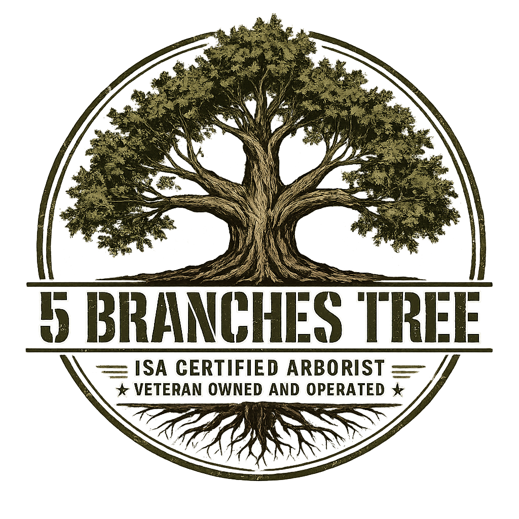 5 Branches Tree